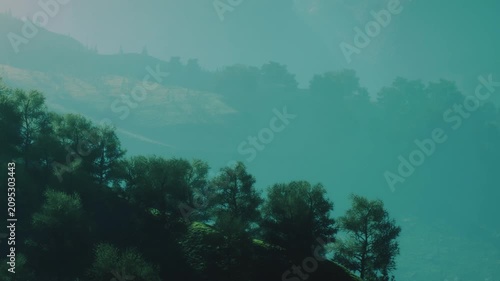Trees grow on a hillside in a mountain area. The setting shows mist hovering over the landscape in early morning light. Shadows add depth to the scene.