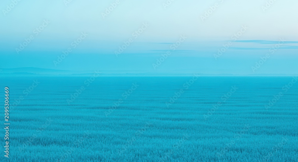 Fototapeta premium Vast Cyan Ocean Expanse Meets Pale Blue Sky