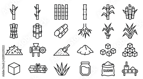 Canvastavla Sugarcane Production Outline Icon Collection Agriculture Line Art