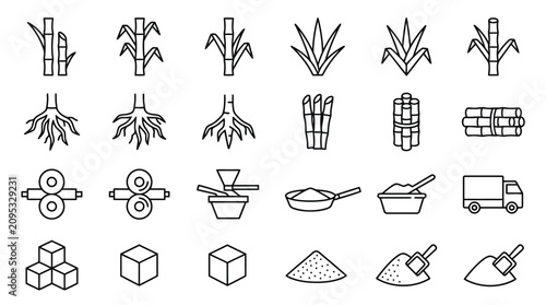 Fotografía Sugarcane Production Outline Icon Collection Agriculture Line Art