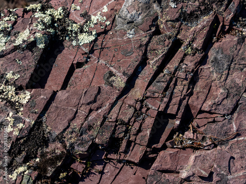 Fotografie Close-up of weathered red rock with natural cracks and pale lichen in Stora Sjöfallet National Park, Swedish Lapland