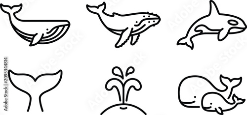 Canvastavla Whale Species and Marine Mammal Line Icon Set with Blue Whale, Humpback, Orca Ki