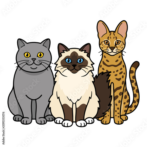 Cats sit together in a group featuring a British Shorthair, a Birman, and a spotted Savannah feline as a charming collection of domestic pets.