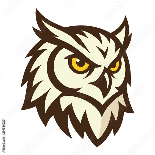 Bild auf Leinwand Cartoon illustration of white owl head with yellow eyes and brown feathers icon