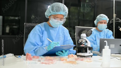 Food scientists examining meat samples in a laboratory. Food safety, quality control, microbiology, biotechnology, laboratory research and professional teamwork.