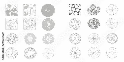 Fotografía top down tree silhouettes in grayscale vector style on white background silhouet