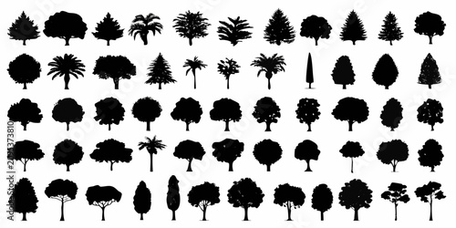 Photos detailed black tree silhouettes on white background silhouette forest nature bot