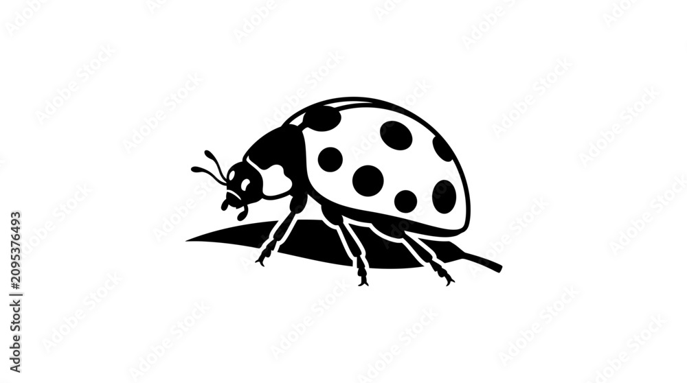 Fototapeta premium Ladybug Silhouette Icon on White Background