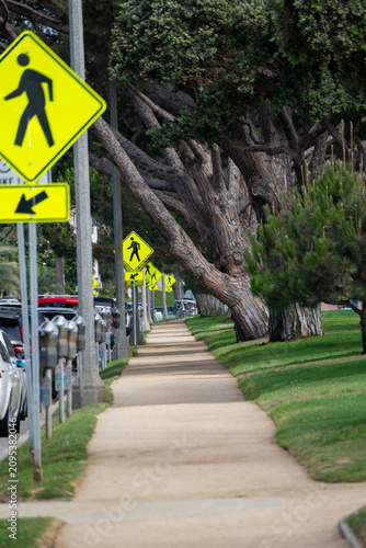 Pedestrian crossing signs line a sunny sidewalk next to parked cars and trees