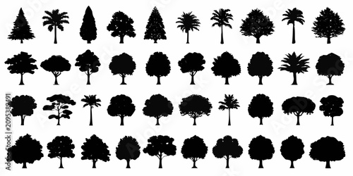Tableau sur toile detailed black tree silhouettes on white background silhouette forest nature lan