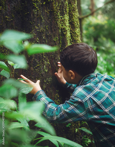 Curious Child Exploring Moss Covered Tree Trunk in Forest During Outdoor Nature Learning