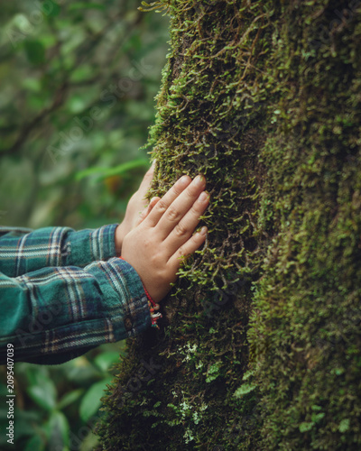 Close-up of a child's hands touching a moss-covered tree trunk in a lush forest. Represents nature exploration, sensory learning, environmental awareness, curiosity, and outdoor education.