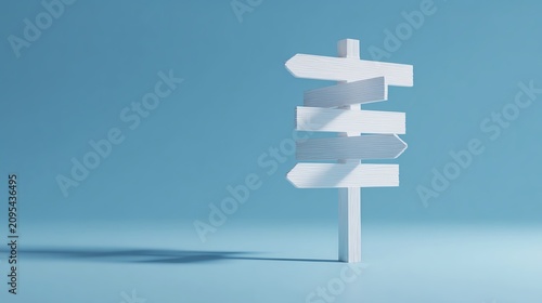 Fototapeta Directional signs for guiding decisions.