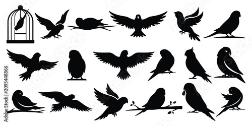 Photos Budgerigar birds Silhouette Vector Set - Cute Budgie Parrot and Cockatiel Clipar