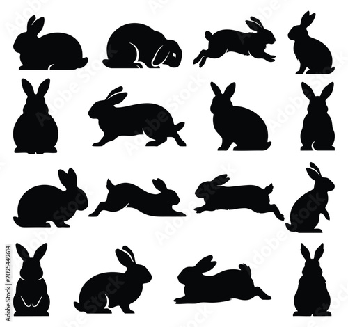 Fotografie English Angora Rabbit Silhouette Vector Set - Fluffy Bunny and Hare Clipart