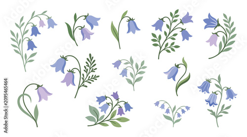Billede på lærred Collection of delicate bluebell flowers and leaves, isolated on white background