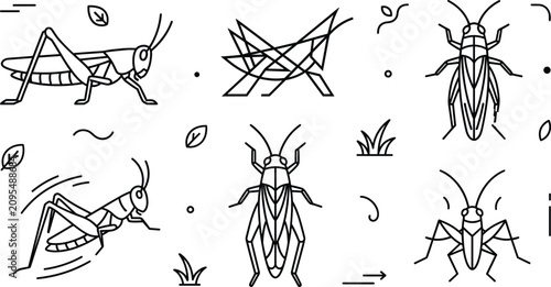 Cuadro en lienzo Grasshopper and Locust Insect Line Art Icon Set for Nature and Biology Designs