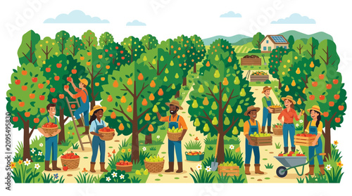 Cuadro en lienzo Diverse Farmers Harvesting Fresh Fruit in a Sunny Orchard
