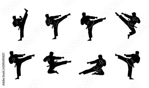 Konstfotografi Martial Arts Silhouette Icons, Karate Action Poses, Dynamic Combat Movements, Ma