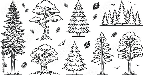 Tree forest pine fir icon set vector illustration line art doodle with nature plant conifer leaf branch landscape
