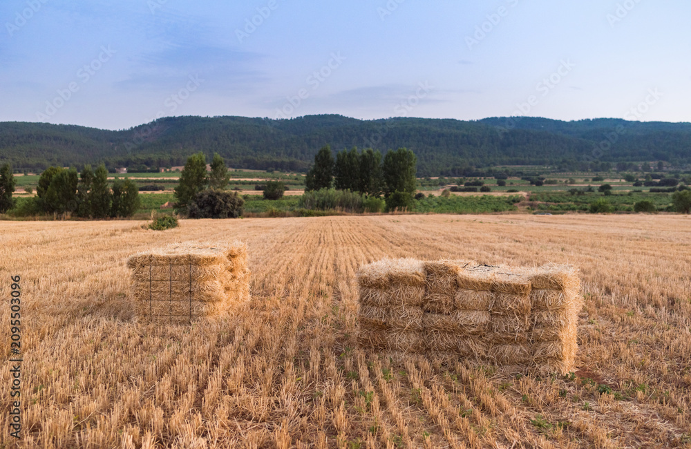 Obraz premium Traditional Square Hay Bales in Golden Agricultural Field