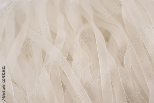 Green bean noodles background texture. Glass noodles pattern surface. Macro shot