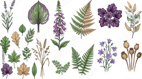 Foto Watercolor vector botanical collection of woodland forest elements including pur