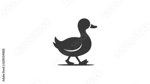 Fotografía Black duck silhouette walking alone.