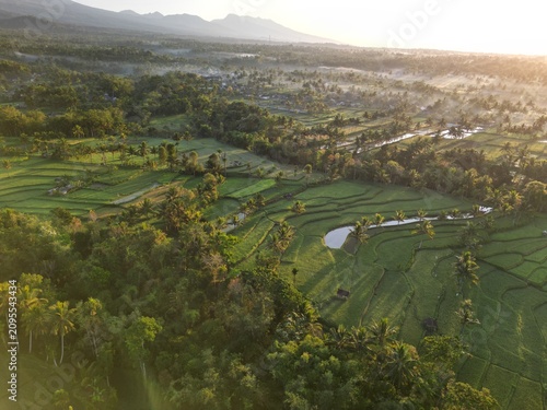 фотографія Lush Rice Terraces with Majestic Mount Rinjani at Sunrise