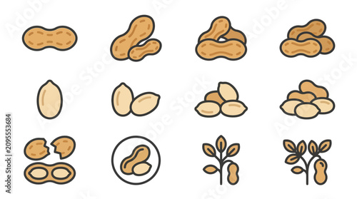 Collection of stylized peanut illustrations in various forms and stages of growth