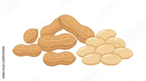 Pile of peanuts in shell and peeled peanut kernels vector illustration isolated on white