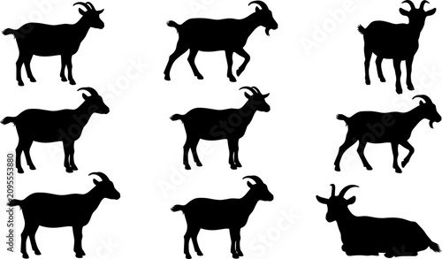 Black silhouette illustration set of goats in various poses including standing, grazing, walking, and lying down