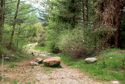 Quadro su tela dirt hiking path with large granite boulders