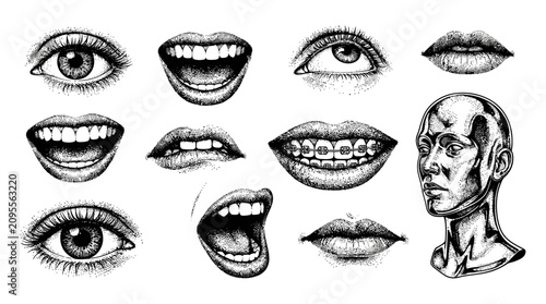 Human Face Parts Stipple Illustration Set with Mannequin Head