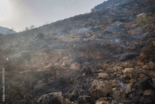 Smoke curls over scorched earth and jagged rocks. Ash covers dry grass and broken branches. Sunlight glows faintly through haze and dust. Terrain shows signs of recent fire damage