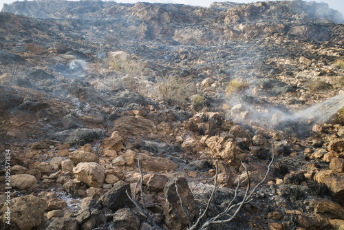 Burnt rocks scatter across barren, smoky terrain. Ash drifts from recent wildfire remnants. Charred branches stand lifeless against cracked earth. Smoke curls upward, lingering in dry air