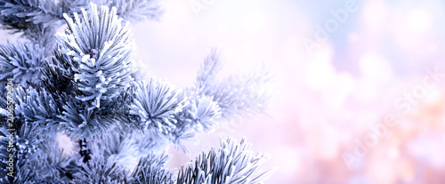 Obraz na plátně Horizontal Christmas background with pine branch, covered with frost