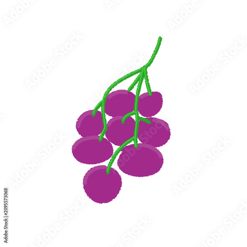 Fotografie bunch of grapes