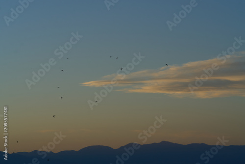 Foto Birds flying across clouds and mountains at sunset
