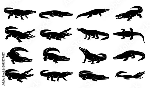 Black Crocodile Silhouette Vector Set with Multiple Wildlife Poses for Logos and Tattoos