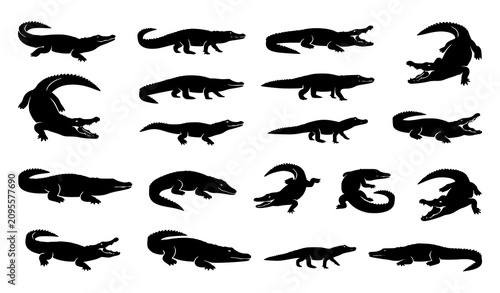 Multiple Crocodile Silhouettes Black Vector Collection for Wildlife Logos and Tattoo Designs