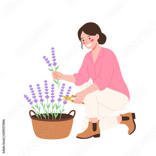 Happy Woman Gardening, Harvesting Lavender Flowers from Pot with Pruning Shears. Plant Care & Hobby Illustration