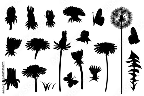 Fotografía Dandelion Flower Silhouette Vector Set with Butterfly and Botanical Elements
