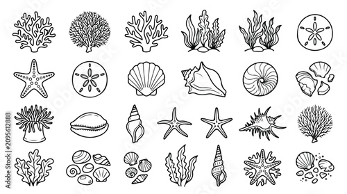 Photography Minimalist sea shells and coral line art icons, set of 24 nautical ocean life ve