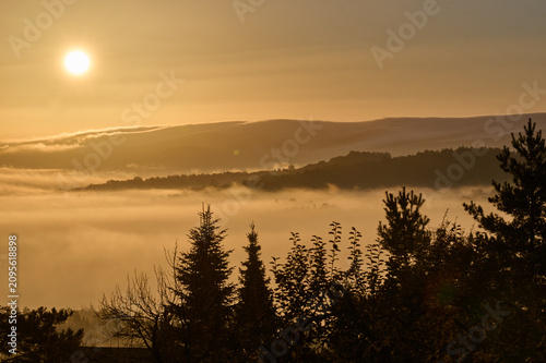 Silhouettes of pine trees against a dense morning inversion fog layer and sunrise over rolling hills, Limanowa, Lesser Poland, Poland, Europe