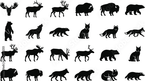 Canvas Print Collection of North American forest and arctic wild animal silhouettes isolated