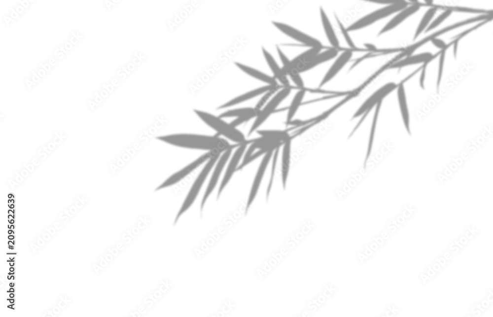 Fototapeta premium Shadow of bamboo leaves isolated on transparent background