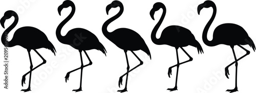 Photography Flamingo silhouette vector illustration, black bird standing on one leg set isol