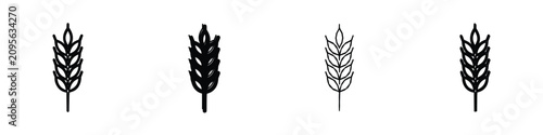 Cuadro en lienzo Four distinct line art illustrations of wheat stalks, showcasing variations in s