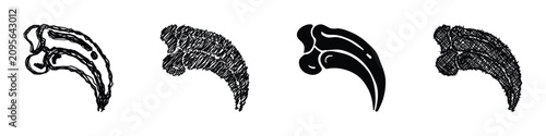 Photography Four distinct artistic interpretations of a predatory bird's claw or a large ani